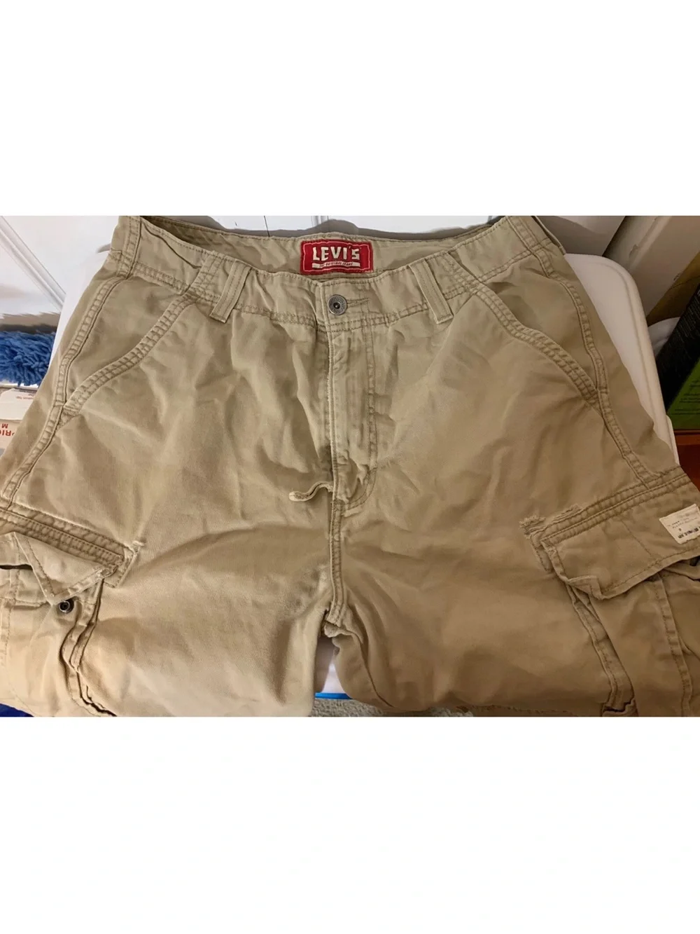 Levis levi cargo